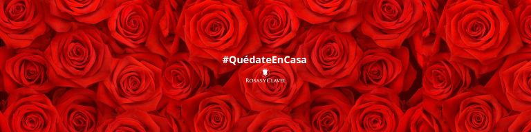 Quédate en Casa - Rosas y Clavel