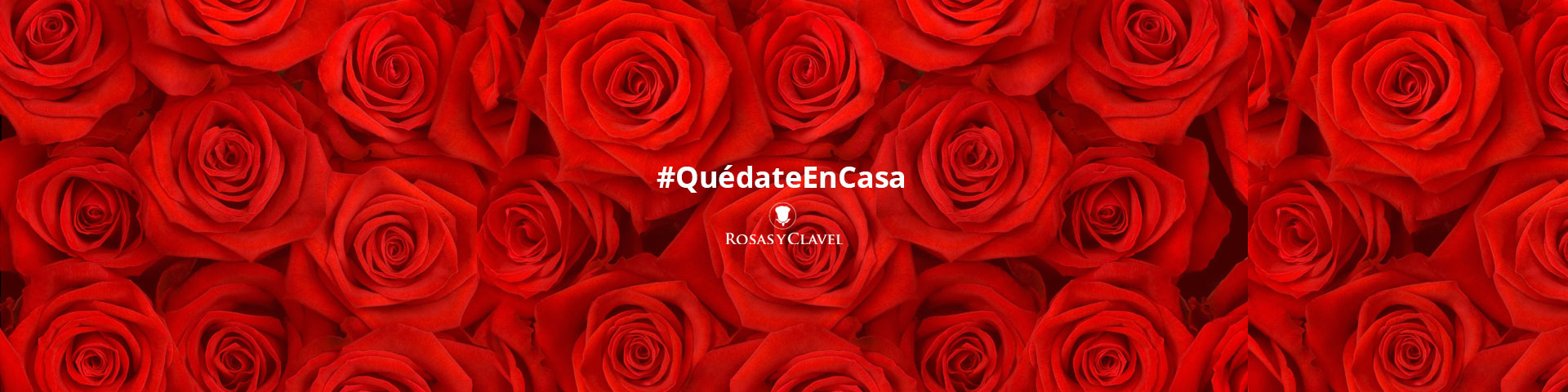 Quédate en Casa - Rosas y Clavel