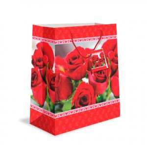 b1 Bolsas de regalo