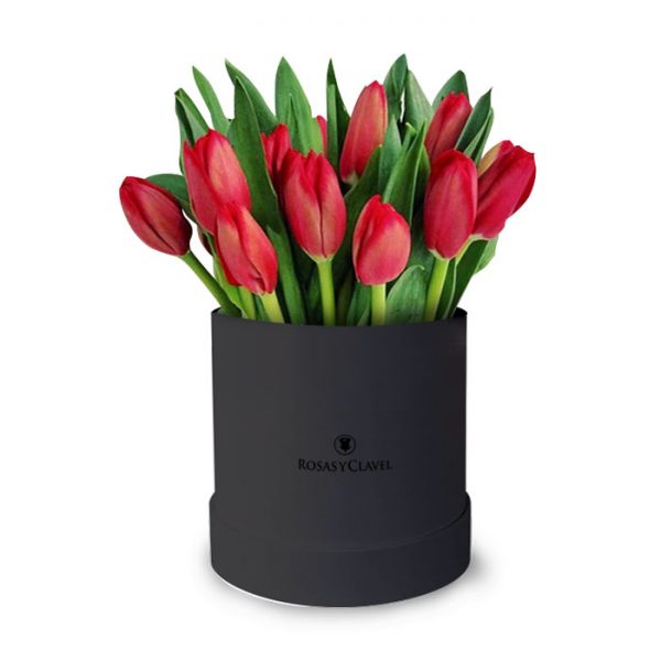 Box con 15 tulipanes rojos