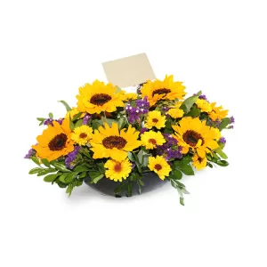 arreglo-base-girasoles-follaje Jardinera negra con girasoles.