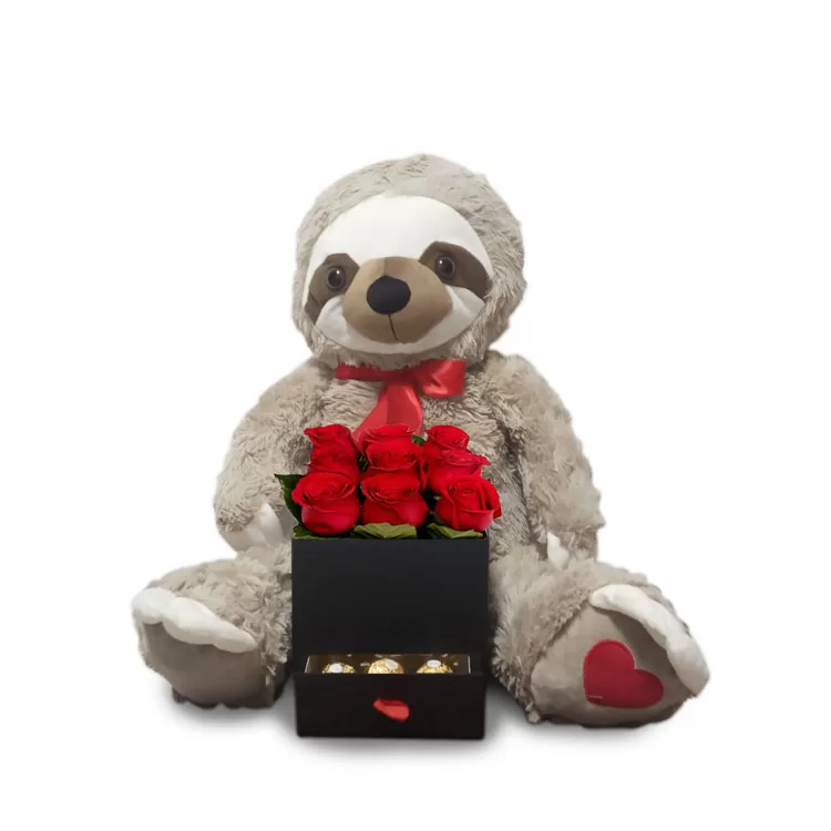 Oso perezoso enamorado con rosas y chocolates. San Valentín
