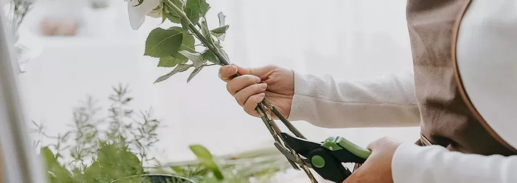 Secretos para que las flores duren más