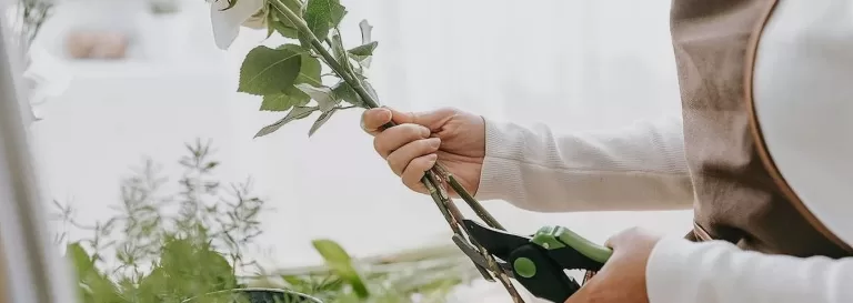 Secretos para que las flores duren más